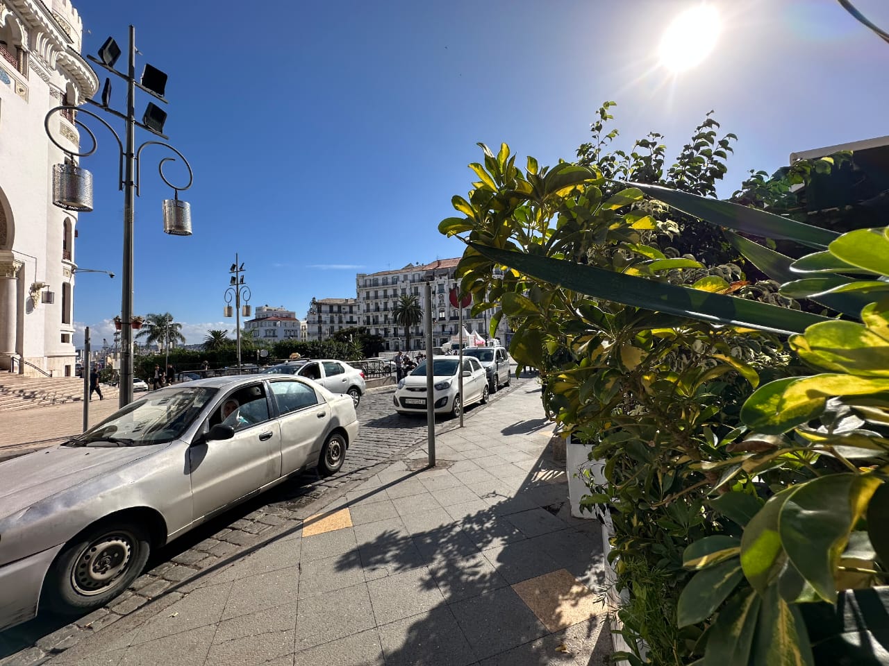 ☕🏙️ Café for Sale in Central Algiers – La Poste Centrale | Prime Investment Opportunity 💰